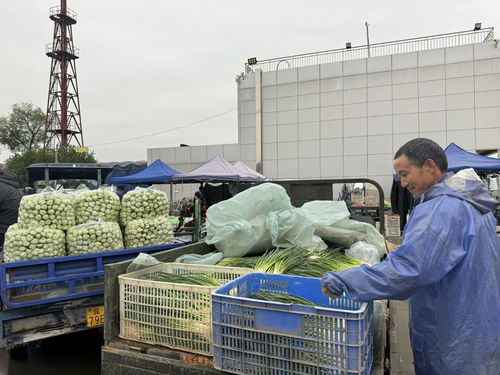 北京新發(fā)地市場(chǎng) 助推商戶打造農(nóng)產(chǎn)品品牌，提升初級(jí)農(nóng)產(chǎn)品價(jià)值