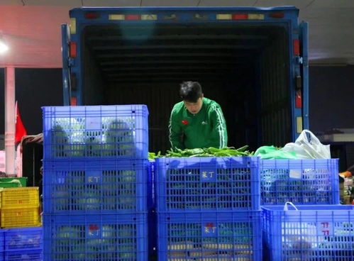 菜丁樂(lè)昌農(nóng)產(chǎn)品交易中心 大型農(nóng)副產(chǎn)品批發(fā)市場(chǎng)火爆招商，助力初級(jí)農(nóng)產(chǎn)品流通