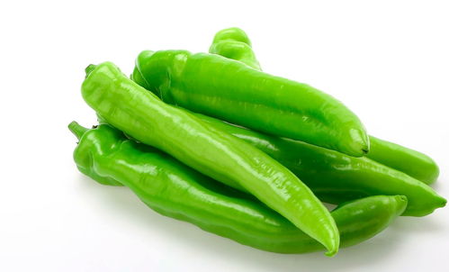 美菜網 以服務筑基，以品質求存，深耕初級農產品市場