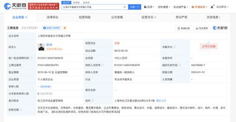 陳坤上海東申童畫工作室注銷，企業形象策劃的反思與啟示