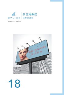 重塑美麗新定義 美萊醫(yī)療美容醫(yī)院的企業(yè)形象設(shè)計與品牌戰(zhàn)略策劃