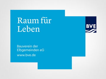 BVE企業(yè)形象設(shè)計與策劃 構(gòu)建品牌價值的系統(tǒng)工程