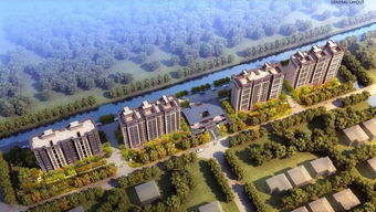 龍町企劃中心太倉雙鳳項目規(guī)劃發(fā)布，主推78-117㎡剛需戶型，樹立企業(yè)新形象